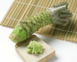 FRE-WASABI-ROOT[1]